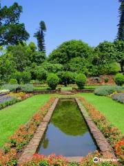 Botanische Gärten Durban