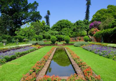 Durban Botanical Gardens