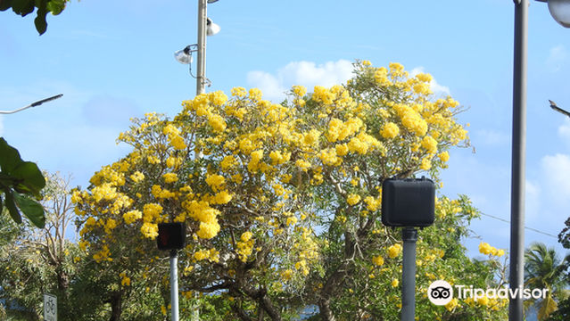 Luis Muñoz Rivera Park
