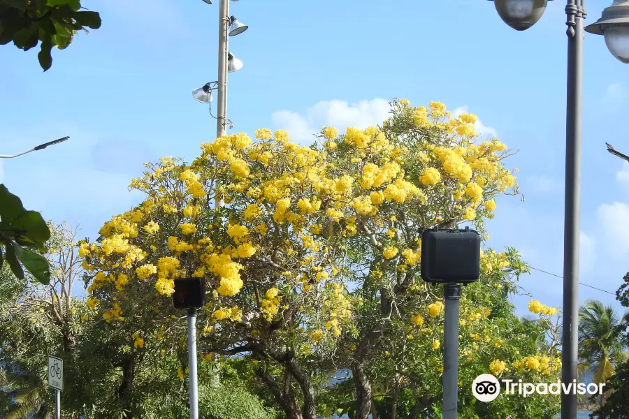 Luis Muñoz Rivera Park