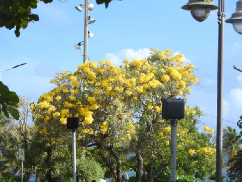 Luis Muñoz Rivera Park