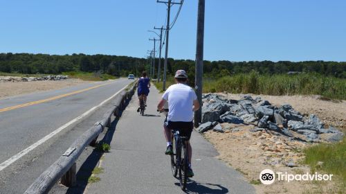 Beach Road between Oak Bluffs and Edgartown