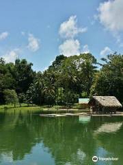 Lake Apo