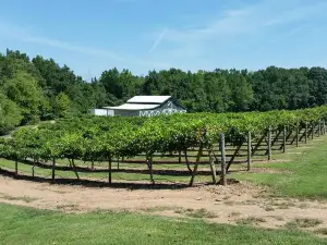 Rocky River Vineyards