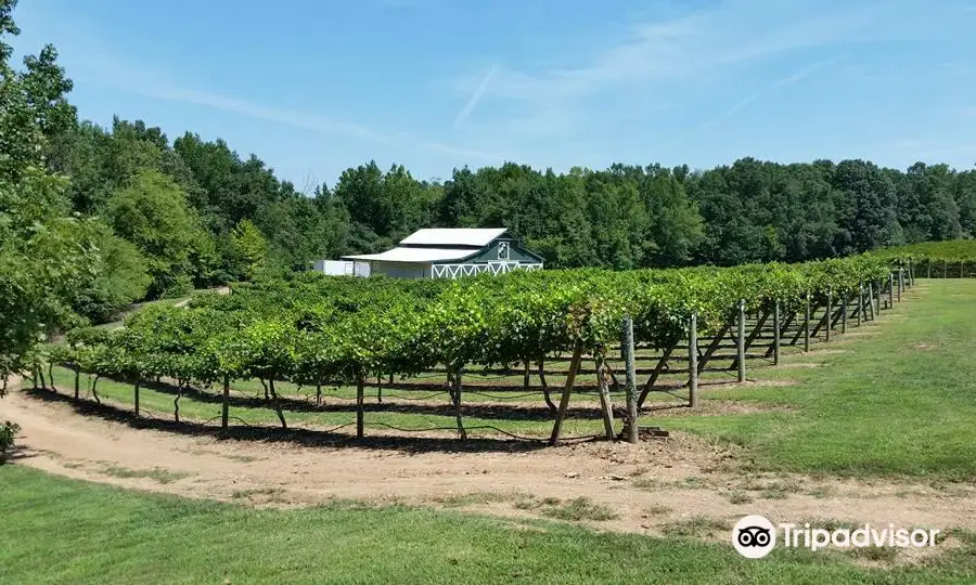 Rocky River Vineyards