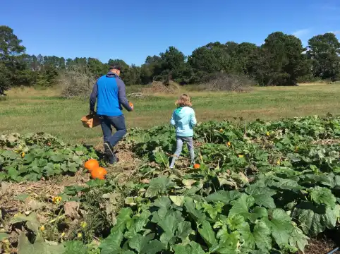 Hotels in Fruitville