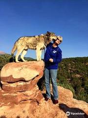 Colorado Wolf Adventures