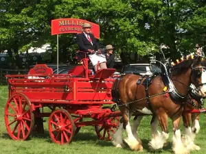 Hay Farm Heavy Horse