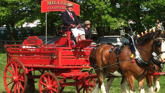 Hay Farm Heavy Horse