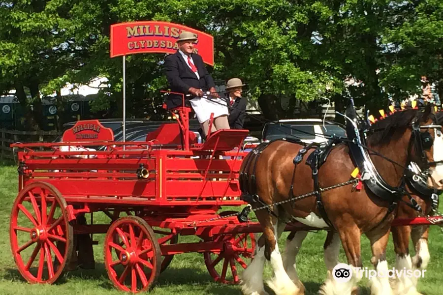 Hay Farm Heavy Horse