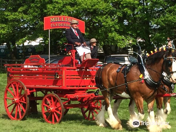 Hay Farm Heavy Horse