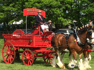 Hay Farm Heavy Horse