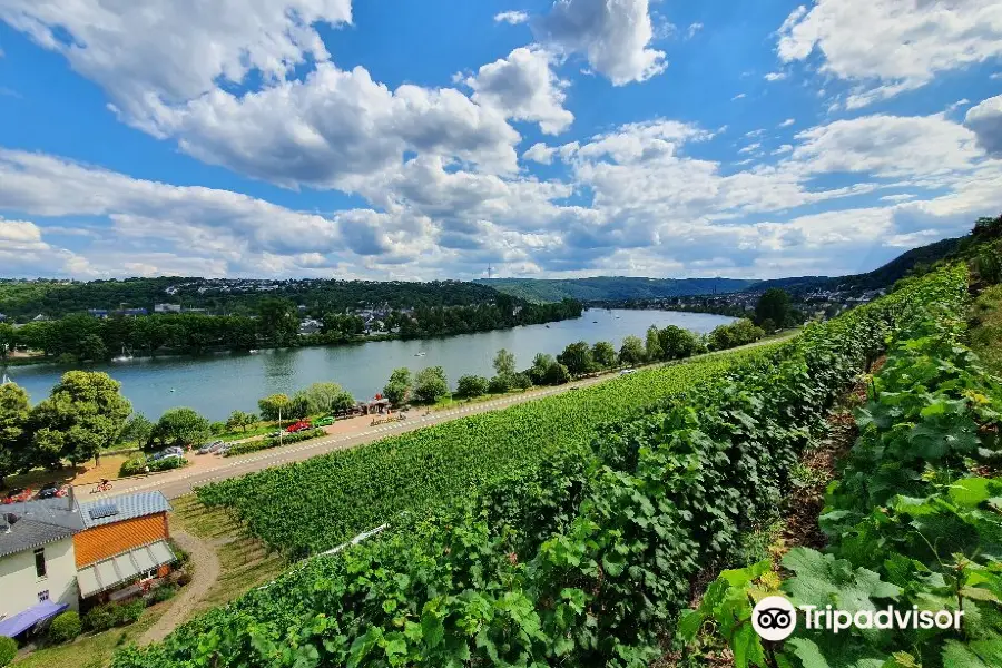 Weingut Schwaab