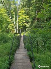 Hemlock Bridge Trail