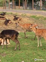 Alpen Wildpark