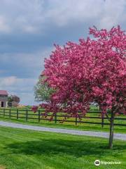 Amish Country