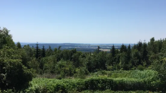 Highlive Waldseilgarten Weiskirchen