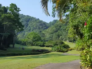 La Iguana Golf Course