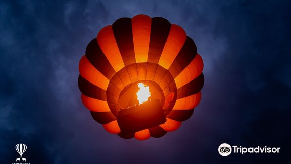 Serengeti Balloon Safaris