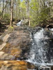 Fall Branch Falls