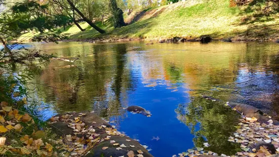 Canyon Walk