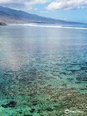 Plage de La Saline les Bains