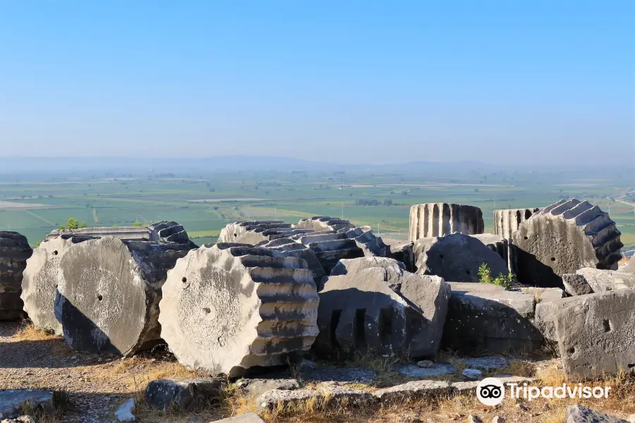 Priene Antik Kenti