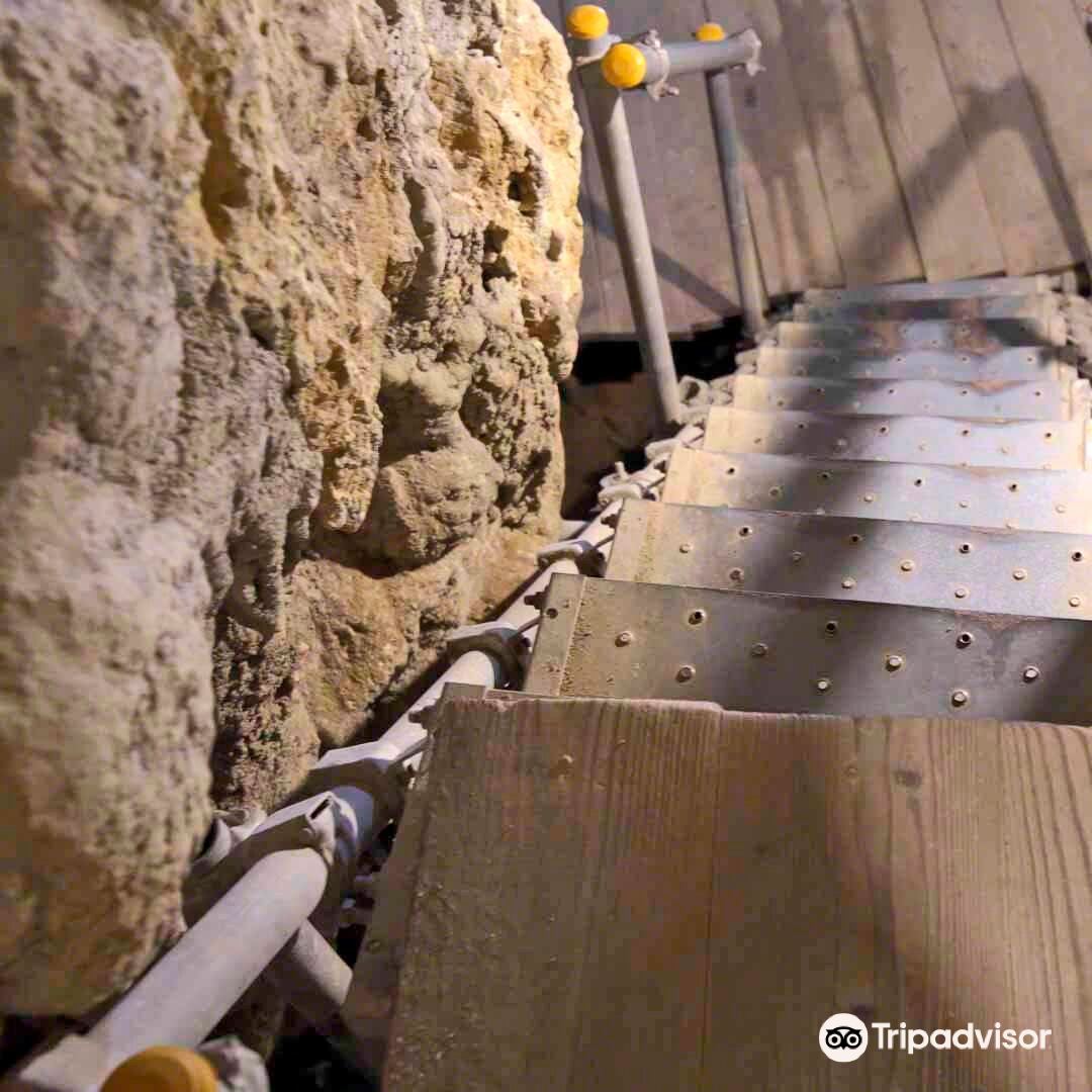 沖縄 CAVE OKINAWA【鍾乳洞】入場Eチケット 予約