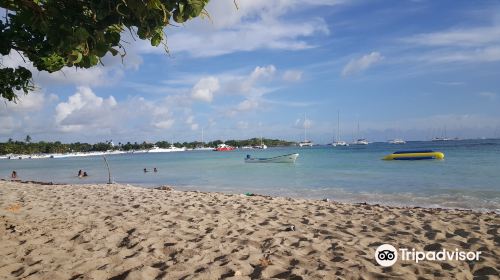 Bayahibe Beach