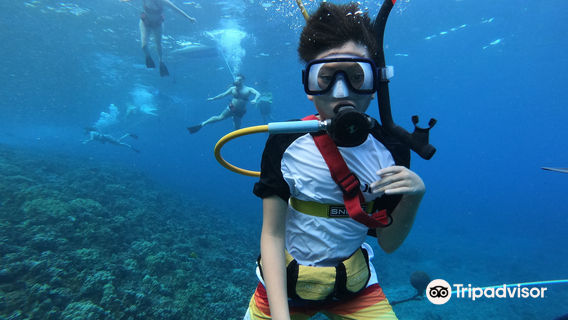 Maui Magic Molokini Snorkel Tour