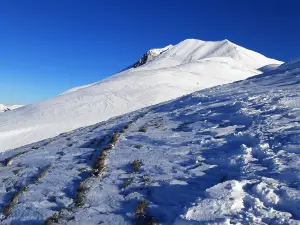 Forca di Presta