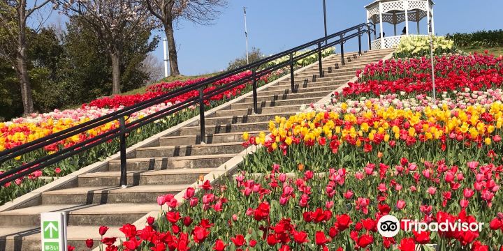 Akashi Kaikyo National Government Park