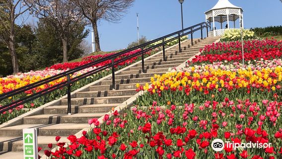 Akashi Kaikyo National Government Park