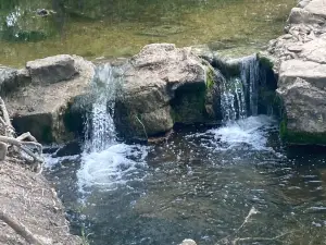 Lockhart State Park