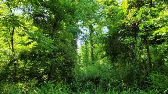 Middle Patuxent Environmental Area