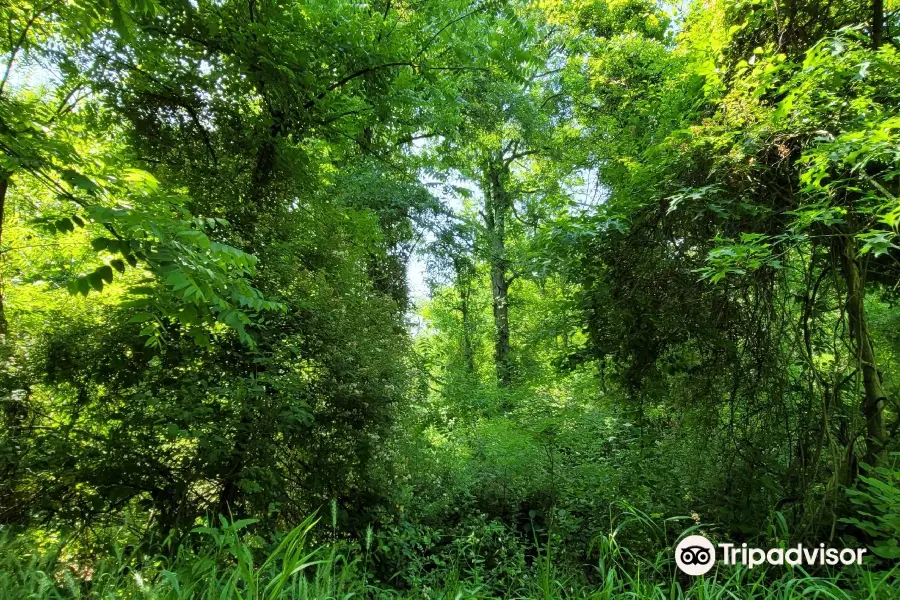 Middle Patuxent Environmental Area