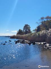 Esker Point Beach