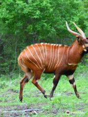 Hatari Wildlife Park