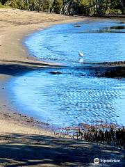 Nudgee Beach