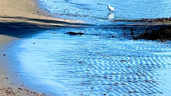 Nudgee Beach