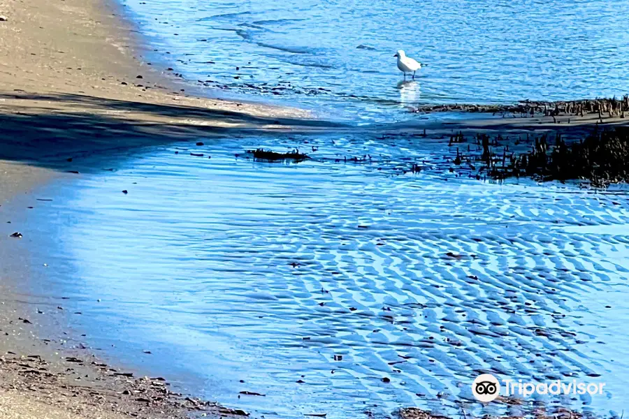 Nudgee Beach