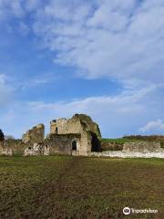 Ballybeg Priory