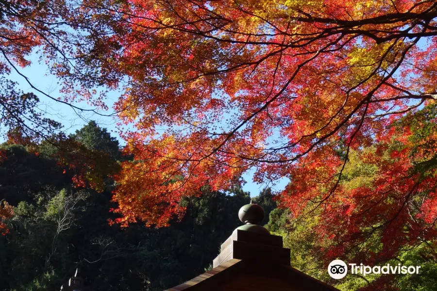 普門寺