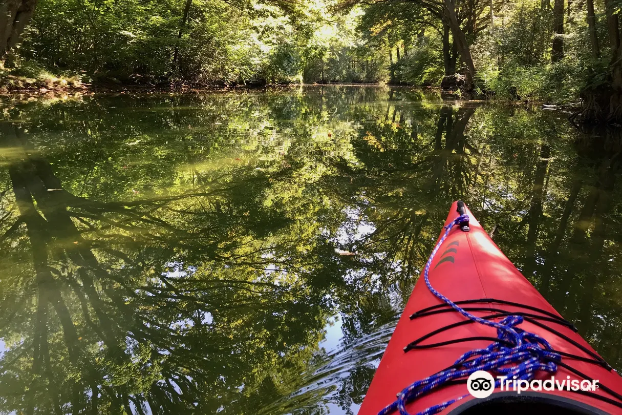 2_Mueritz-Nationalpark (Mueritz National Park)