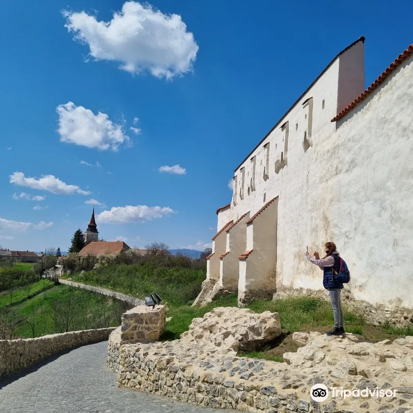 2_Feldioara Fortress