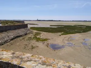 Marais salants de Guérande