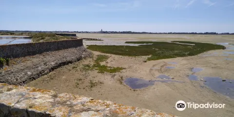 Marais salants de Guérande
