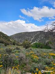 Baker Creek Loop Trail