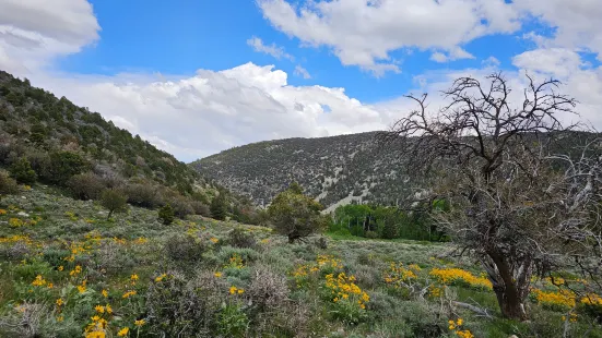 Baker Creek Loop Trail