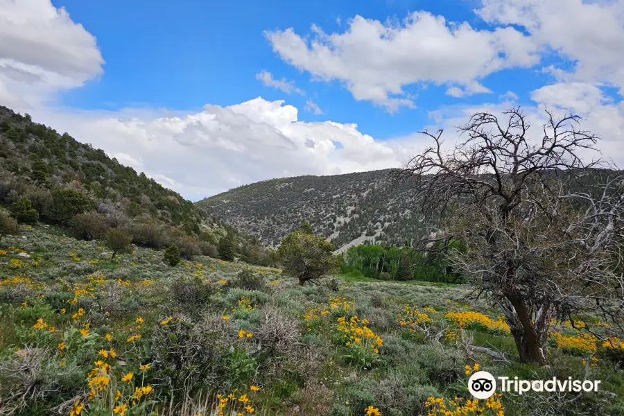 Baker Creek Loop Trail